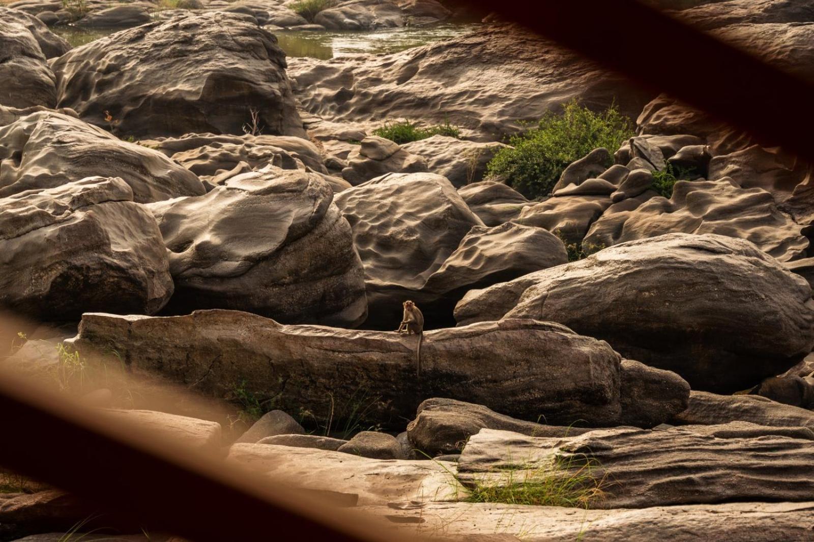 Leo Woods Hampi River View Hotel Exterior foto